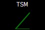 TSM
